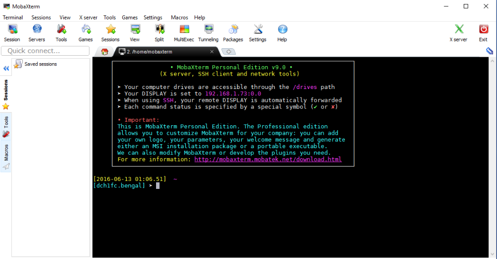 Terminal using Mobaxterm client on Windows